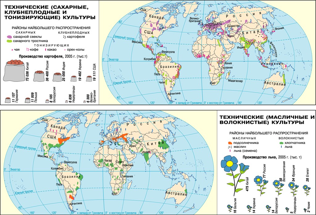 Технические культуры. Сельское хозяйство мира карта 10 класс. Сельскохозяйственные культуры на карте. Растениеводство мира карта. Карта сельскохозяйственных культур мира.