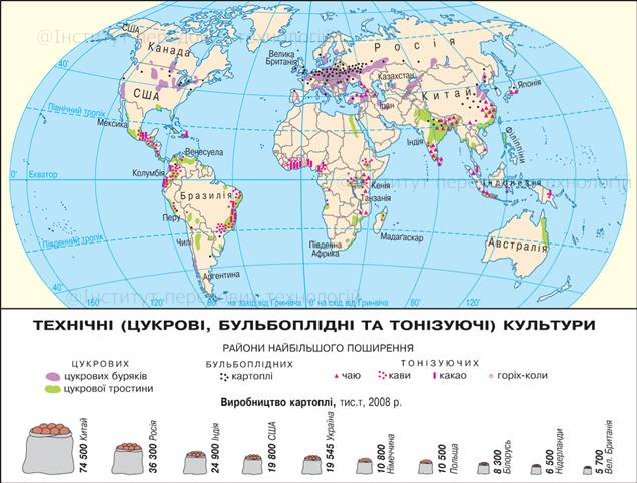 О документе