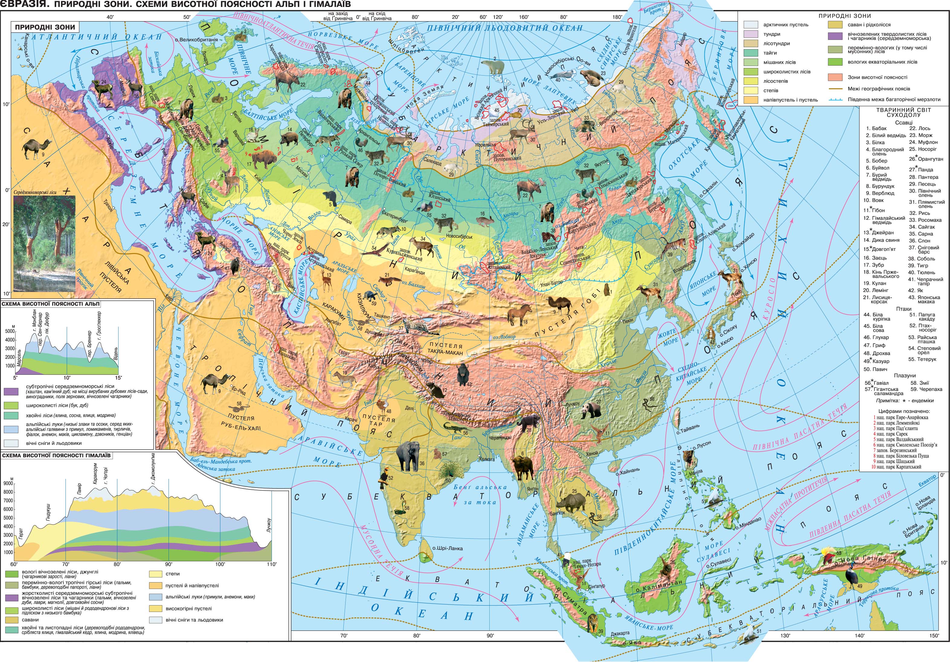 Почва северной евразии. Природные зоны Евразии атлас. Карта природных зон Евразии. Карта Евразии география природные зоны. Карта природных зон Азии.