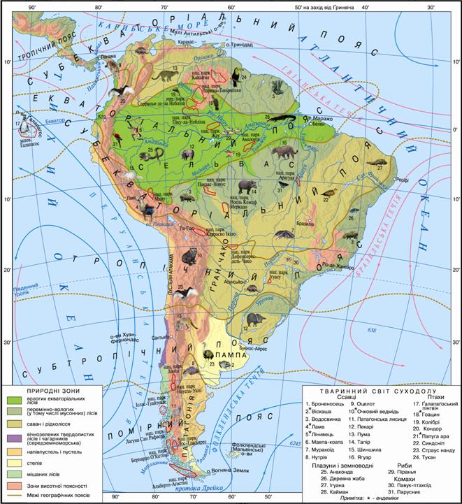 Картинки по запросу природні зони південної америки