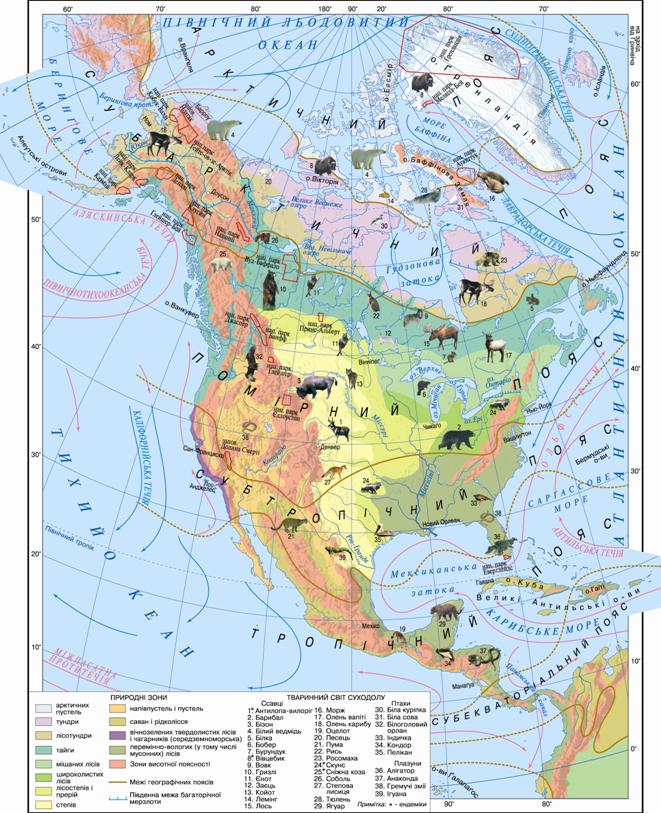 Зоны северной америки. Карта природных зон Северной Америки. Карта природных зон Северной Америки 7 класс. Карта природных зон Северной Америки крупным планом. Карта природных зон Северной Америки 7 класс география.