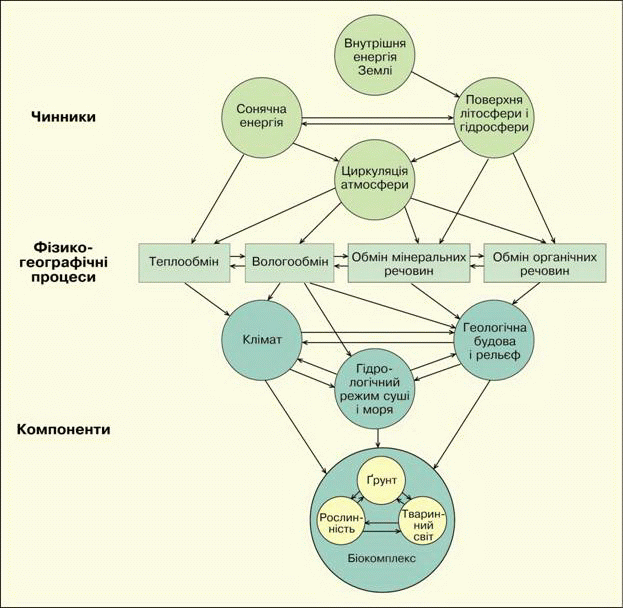 Взаимосвязь природных компонентов схема - 98 фото